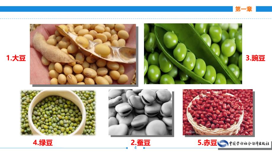 烹饪原料知识第三版第一章粮食类原料第二节豆类粮食及其制品ppt课件_第4页
