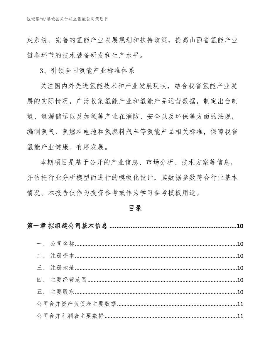黎城县关于成立氢能公司策划书模板参考_第5页