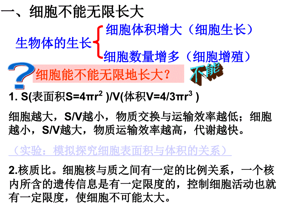 细胞的增殖课件_第4页