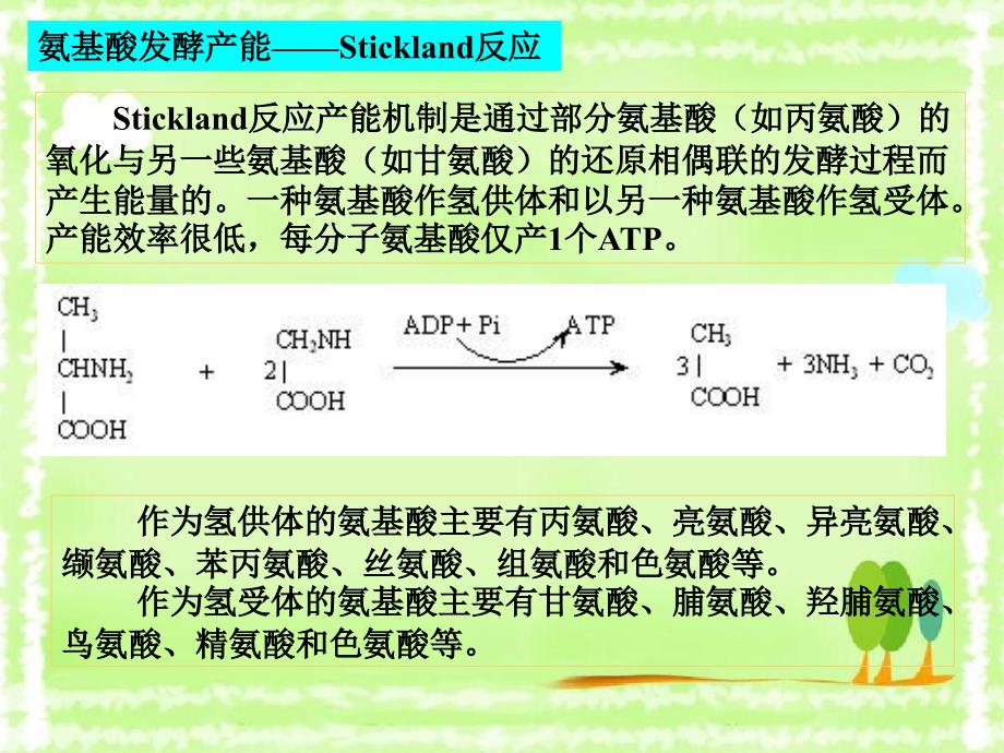 微生物代谢概述和要求_第3页