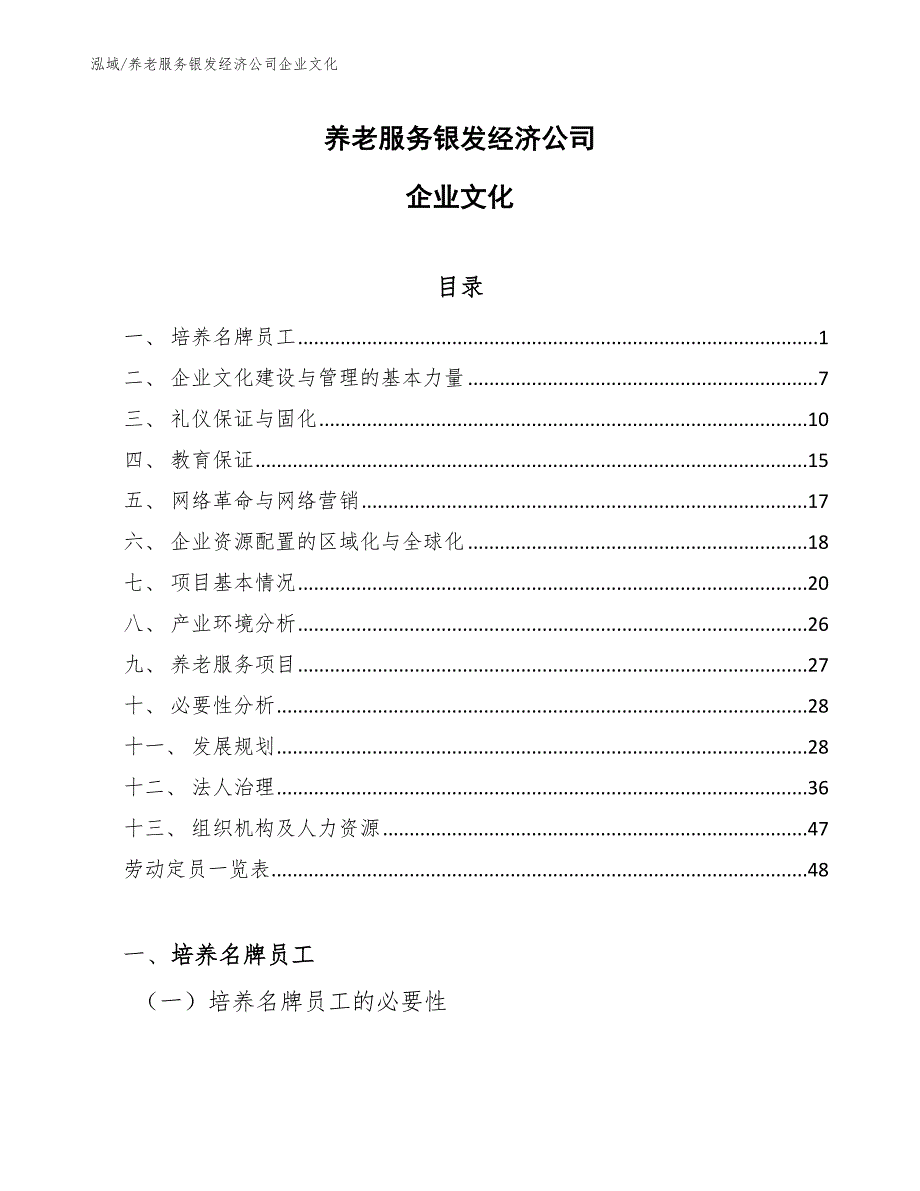 养老服务银发经济公司企业文化【范文】_第1页