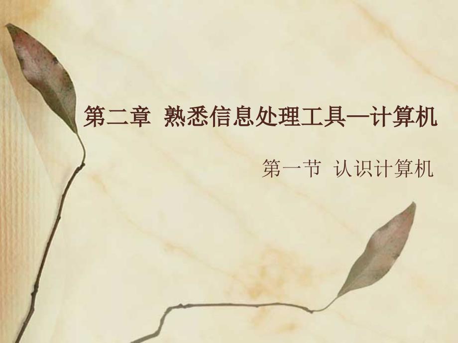 第一节认识计算机_第1页