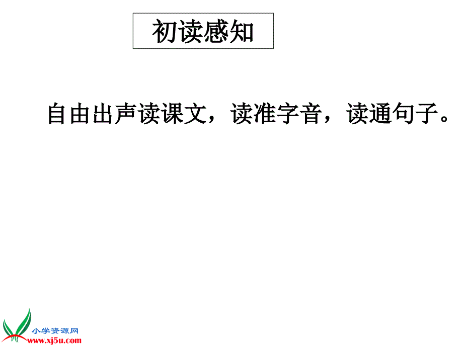 21老人与海鸥 (2)_第2页