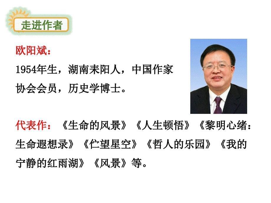 鄂教版语文八年级上册课件2.散文两篇看云去_第5页