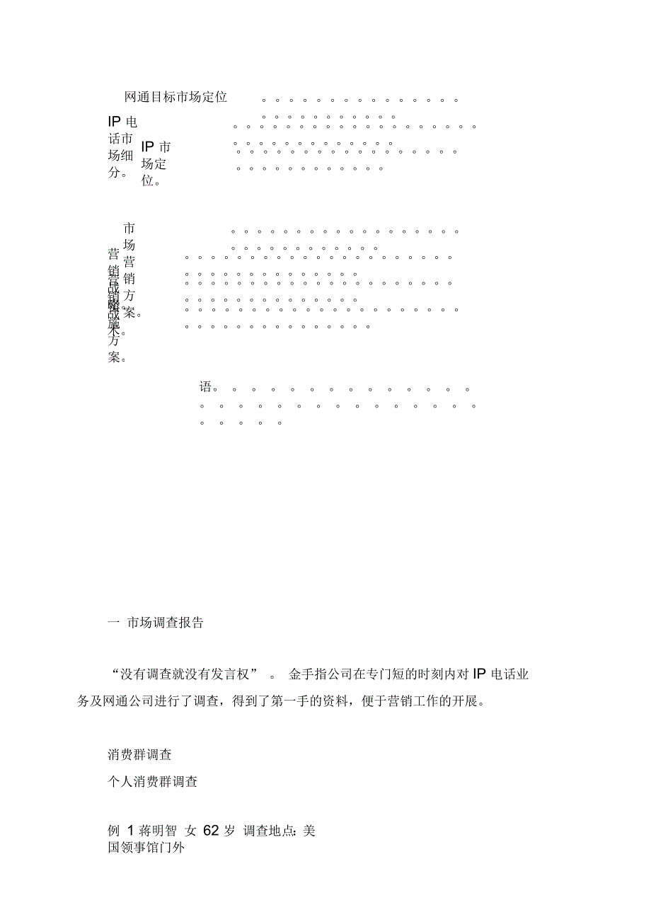 IP电话业务整合营销方案_第2页