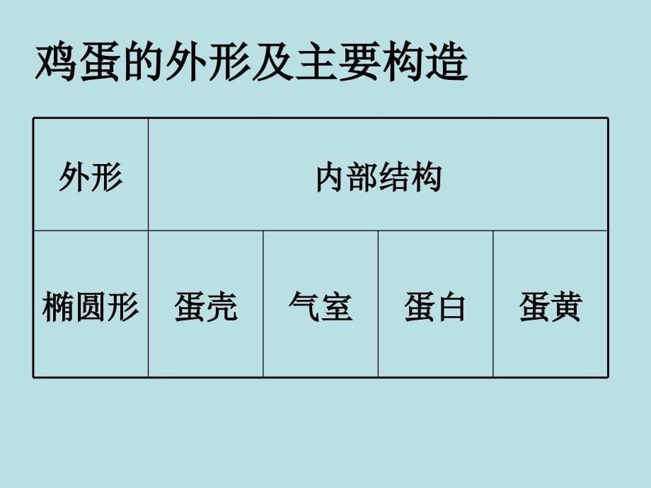 小学四年级下册-科学-2.6-动物-的卵-教科版-(30张)ppt课件_第5页