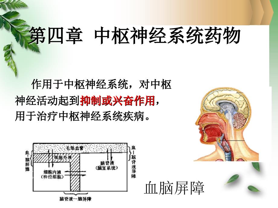 镇静催眠药护理药物学.ppt_第2页