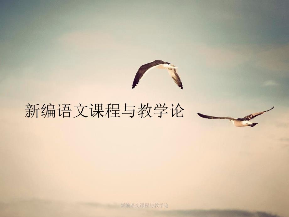 最新新编语文课程与教学论_第1页