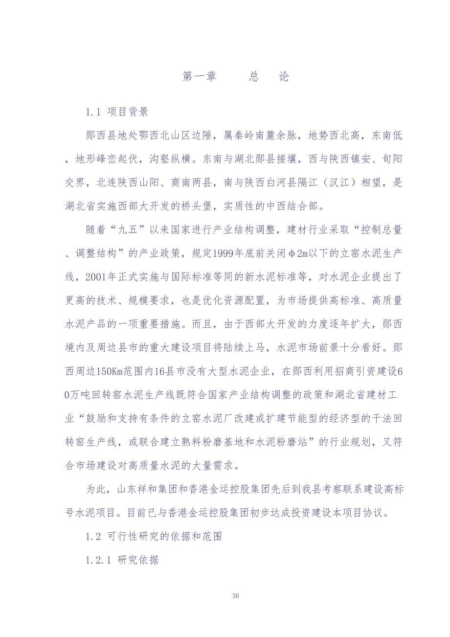 60万吨水泥改扩建工程项目可行性研究报告 (2)（天选打工人）.docx_第5页