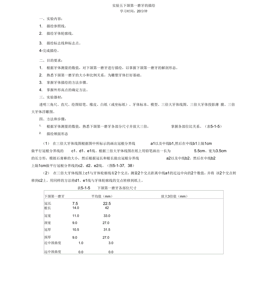 实验5下颌第一磨牙的描绘_第1页