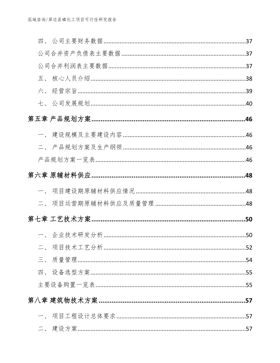 屏边县磷化工项目可行性研究报告【模板范本】_第3页