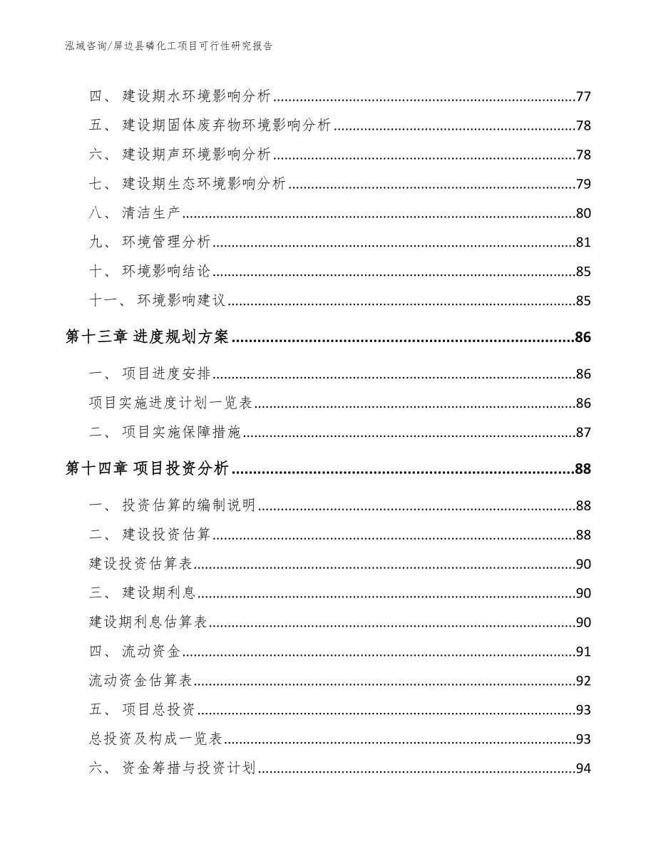 屏边县磷化工项目可行性研究报告【模板范本】_第5页