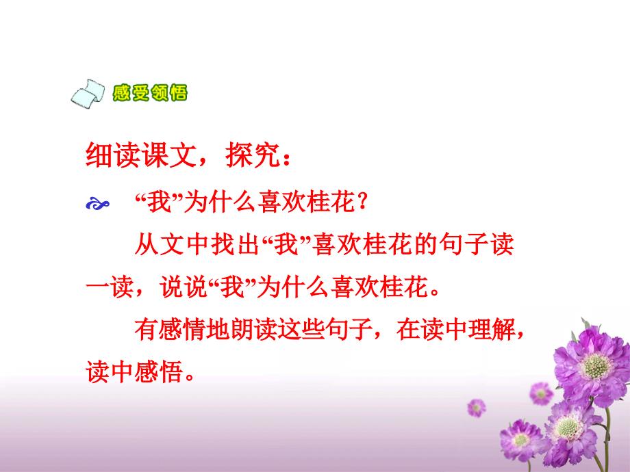 《桂花雨》教学课件1_第5页