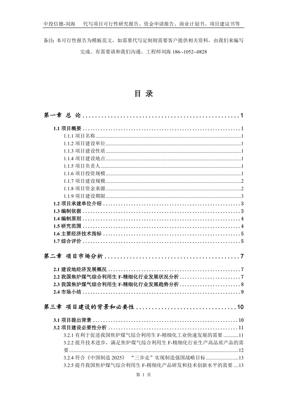 焦炉煤气综合利用生F-精细化项目资金申请报告写作模板代写_第2页