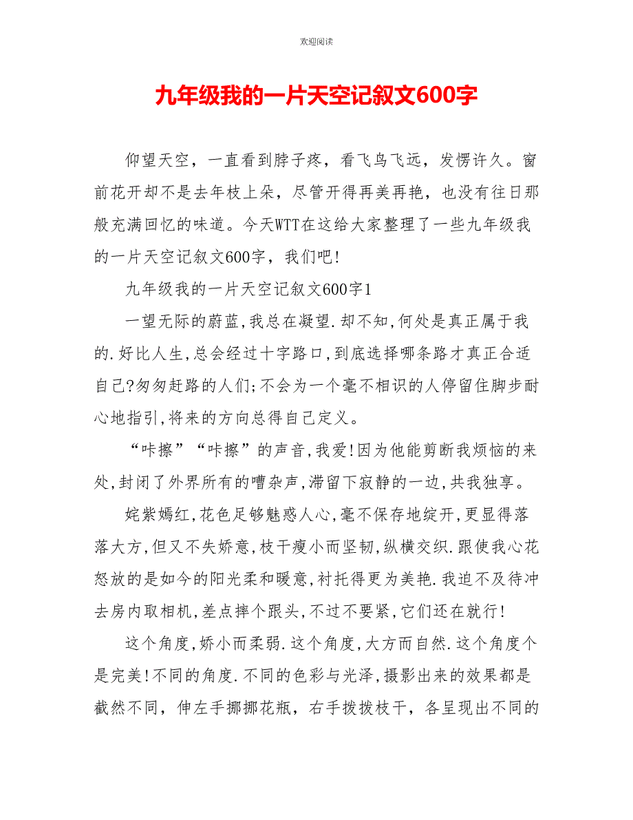 九年级我的一片天空记叙文600字_第1页