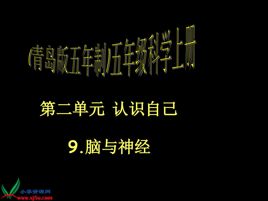 青岛版五年制科学五年级上册《脑与神经》PPT课件之一1000_第1页