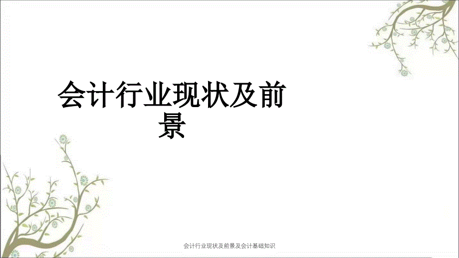 会计行业现状及前景及会计基础知识课件_第4页