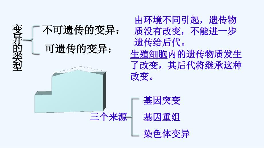 基因突变和基因重组 公开课_第3页