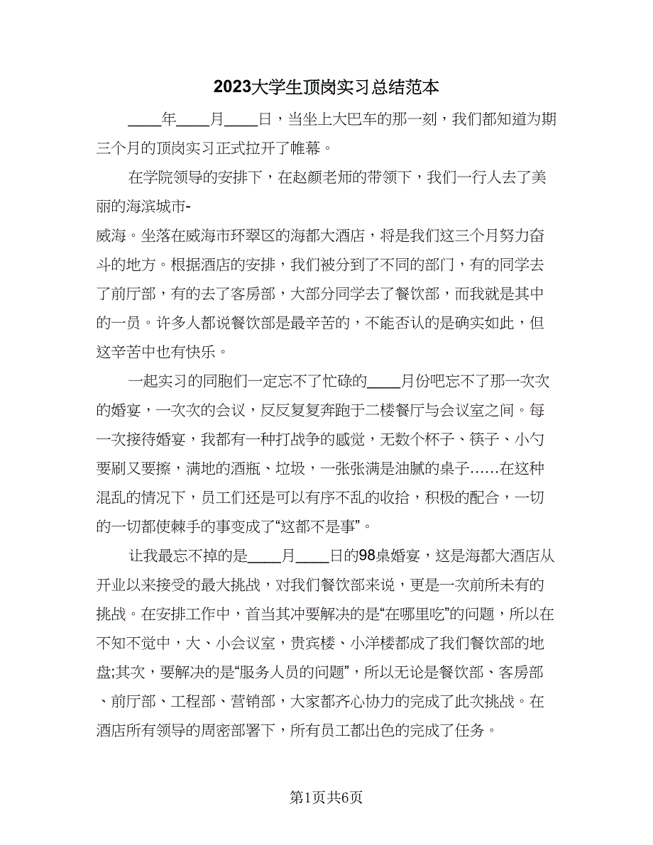 2023大学生顶岗实习总结范本（四篇）.doc_第1页