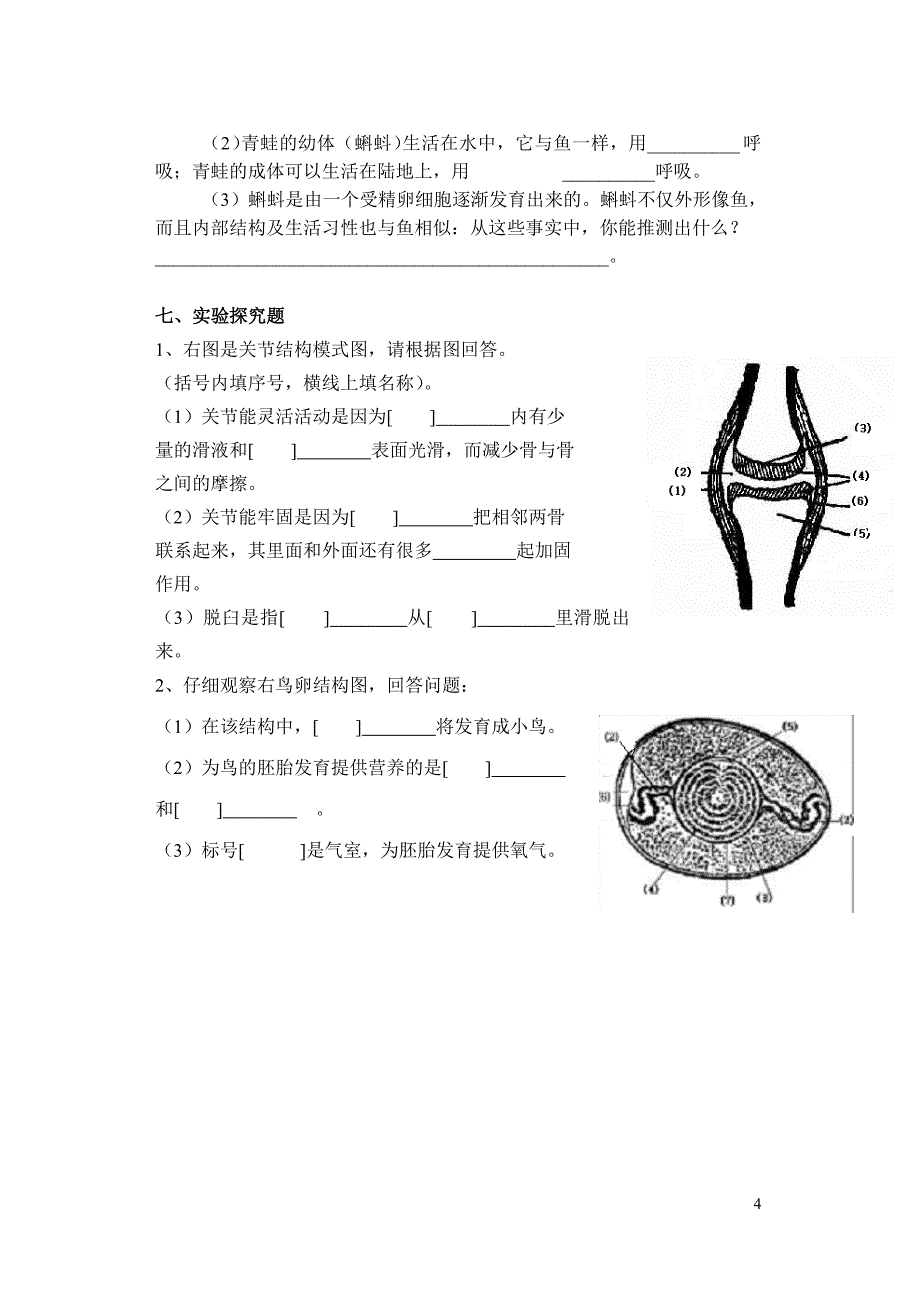 初二生物复习题_第4页