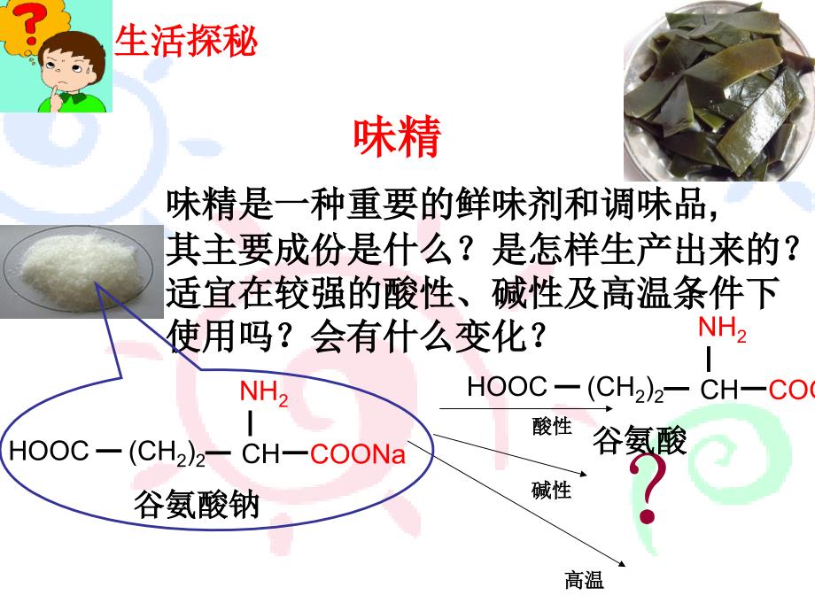 生命的基础—蛋白质(wy)精品教育_第3页