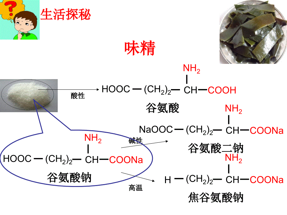 生命的基础—蛋白质(wy)精品教育_第4页