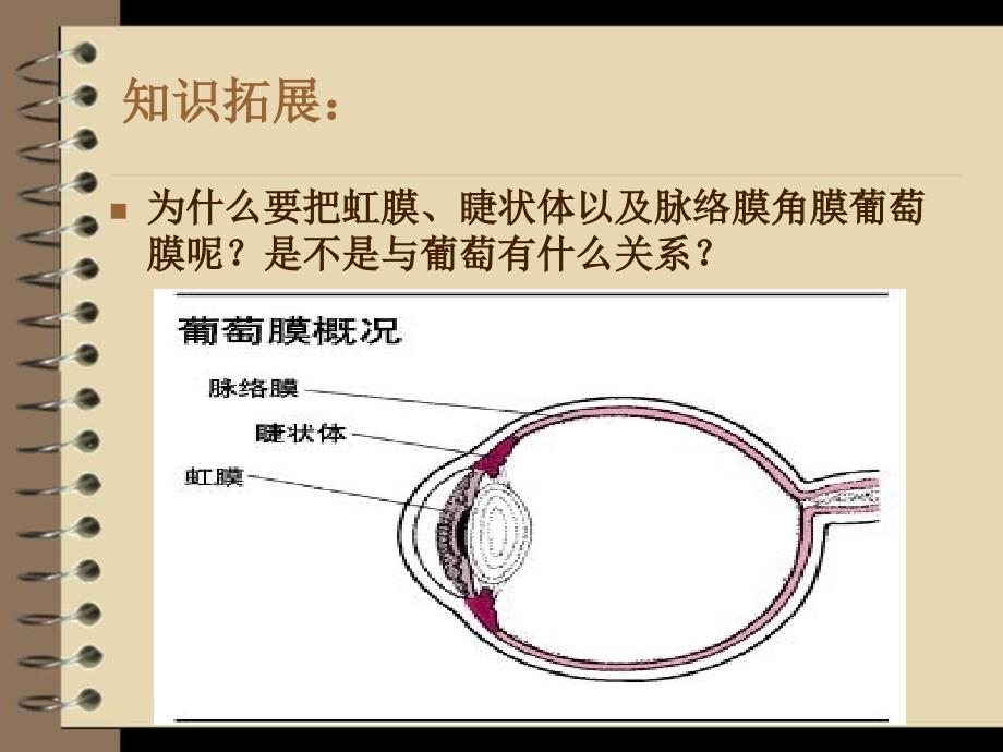 葡萄膜炎的健康指导课件_第3页