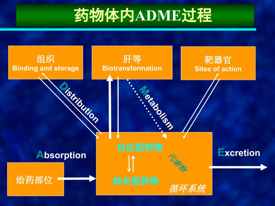 总论-药代动力学研究_第1页