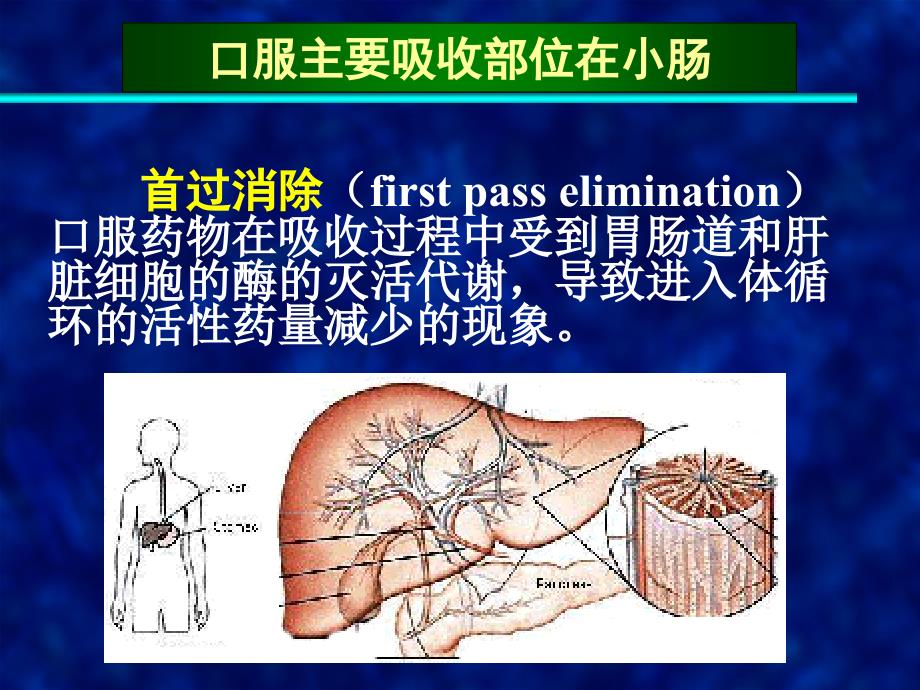 总论-药代动力学研究_第3页