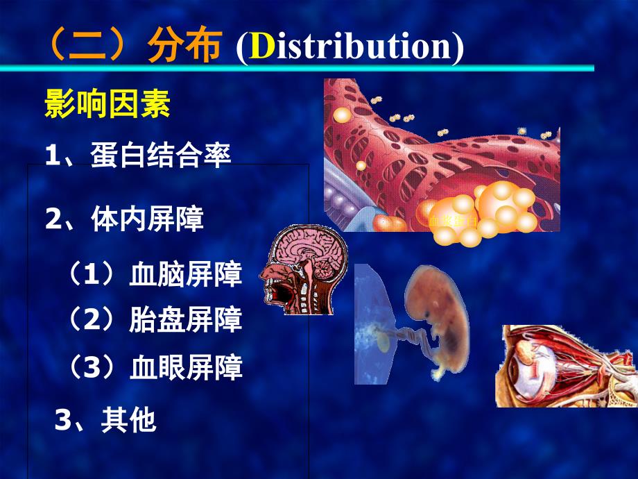 总论-药代动力学研究_第4页