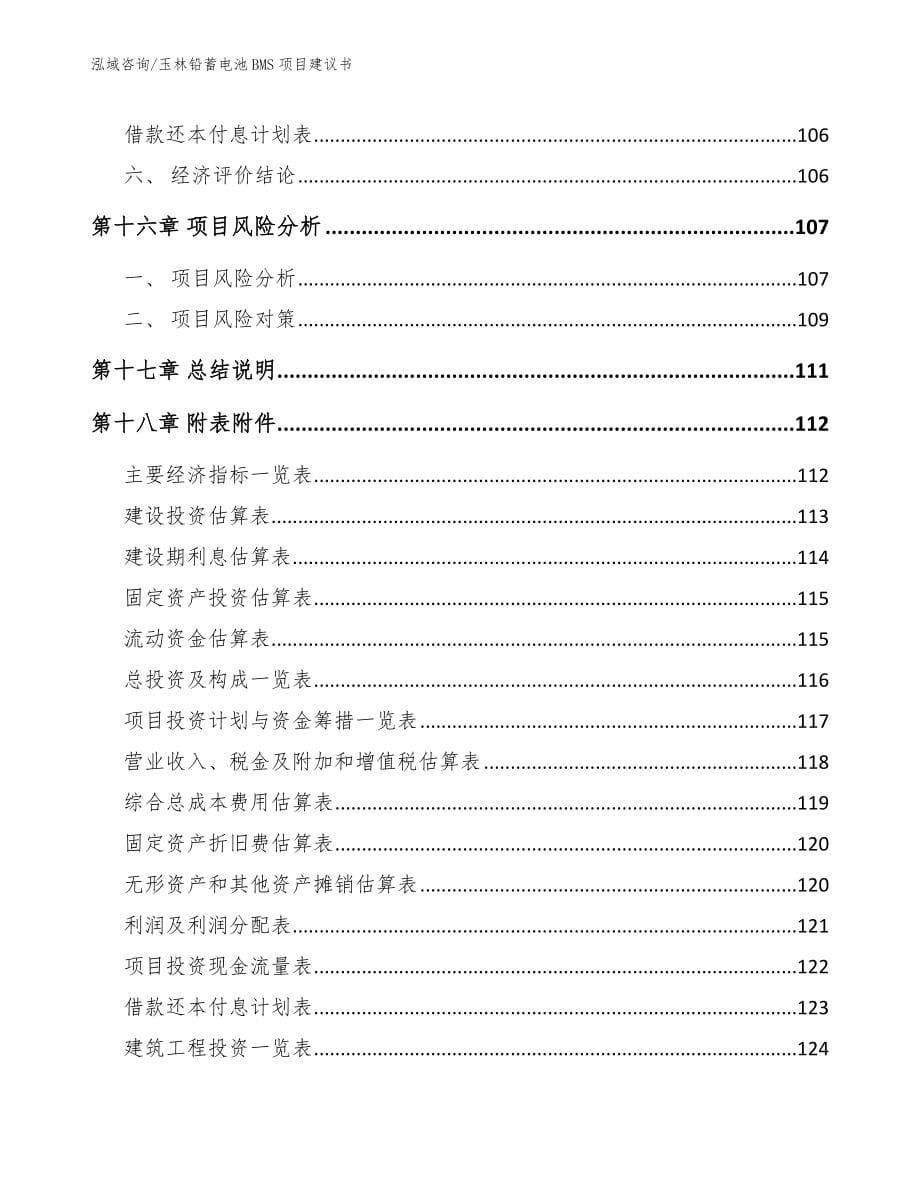 玉林铅蓄电池BMS项目建议书模板范本_第5页