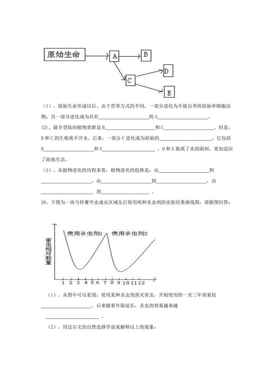 2011年中考生物一轮复习同步练习 生命的演化 济南版_第5页