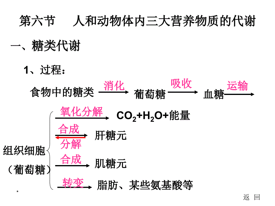 人和动物体内三大营养物质代谢1_第3页