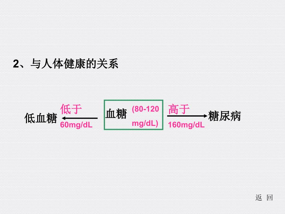 人和动物体内三大营养物质代谢1_第4页