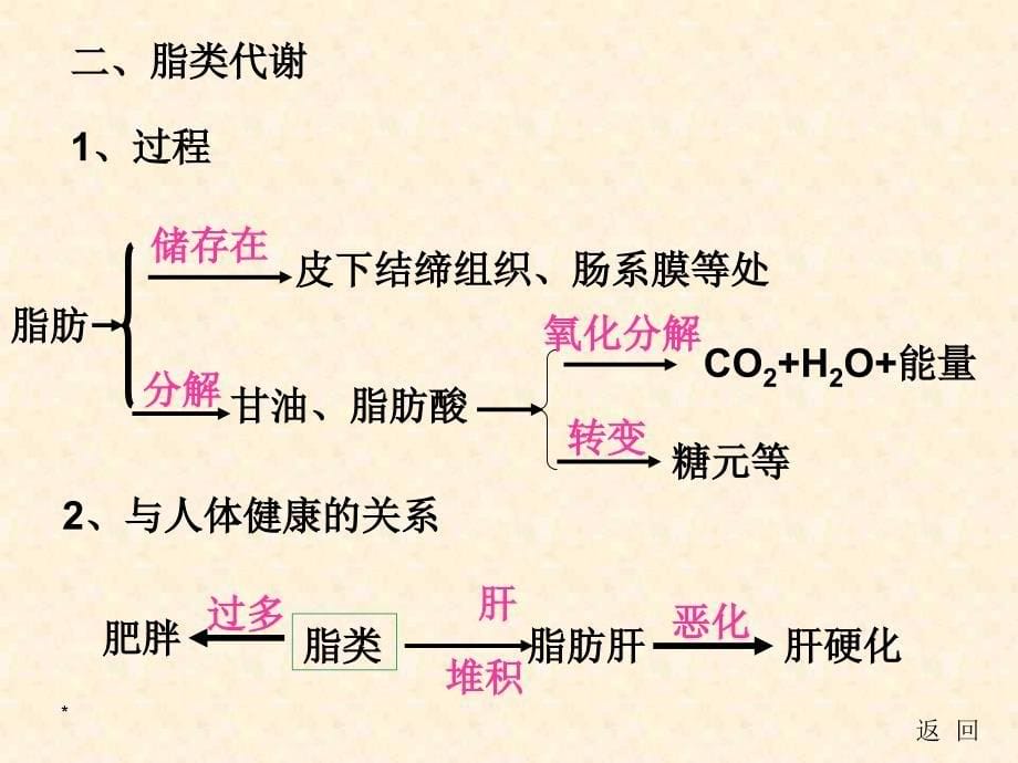 人和动物体内三大营养物质代谢1_第5页