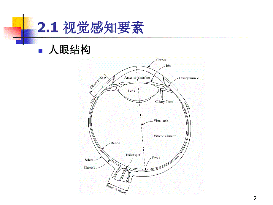 图像信息的基本知识_第2页