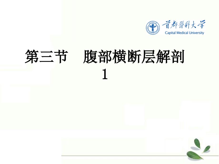 腹部断层解剖学 第三节腹部横断层解剖1_第2页