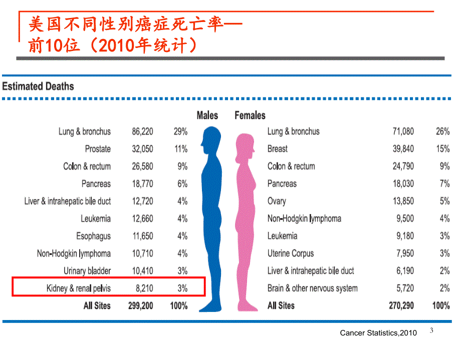 肾癌内科治疗ppt课件_第3页