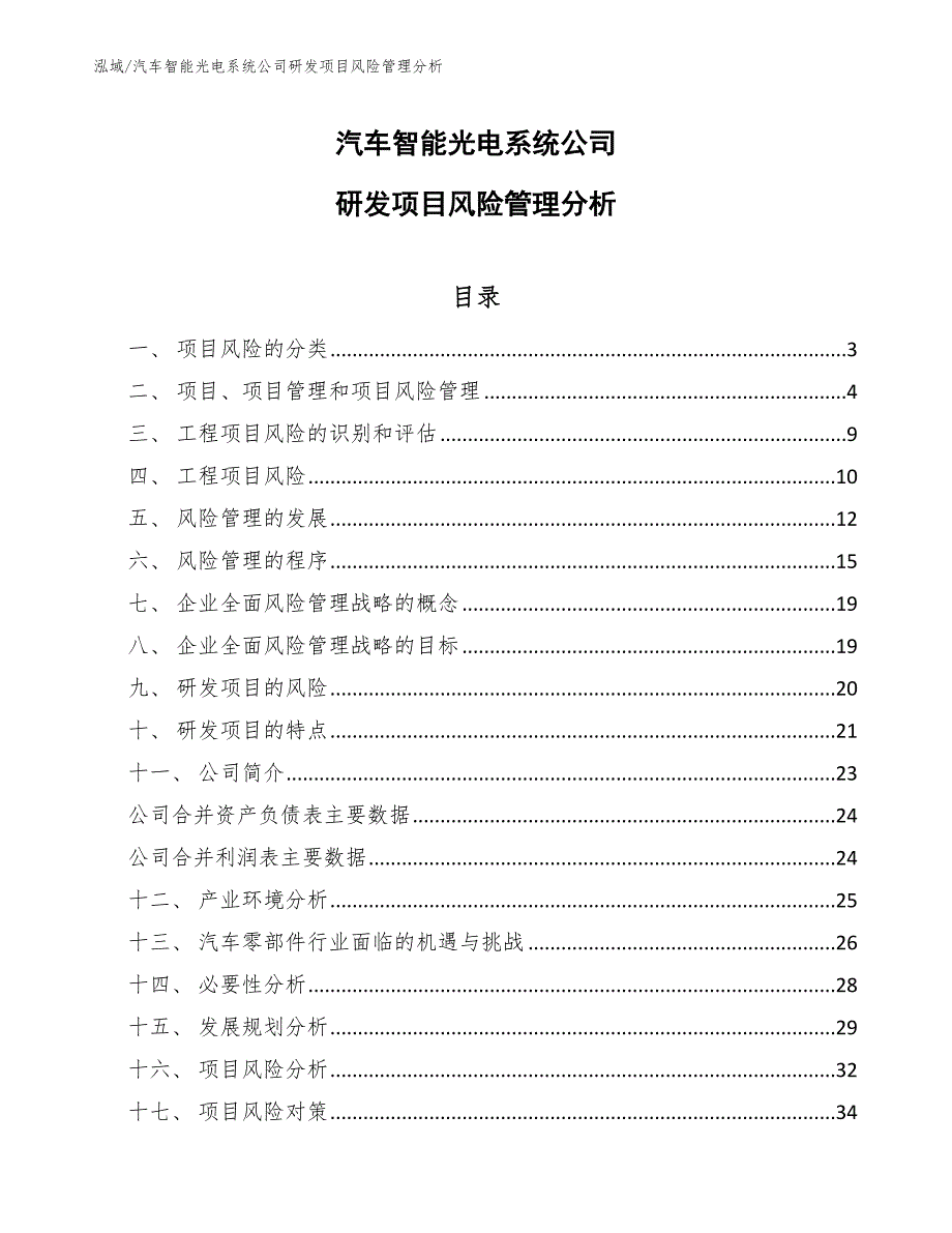 汽车智能光电系统公司研发项目风险管理分析_第1页