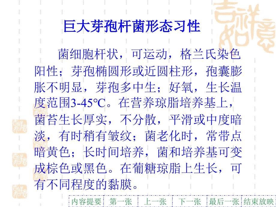 发酵微生物菌种全介绍课件.ppt_第5页