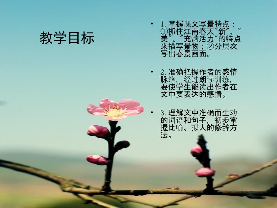 春课件 (2)_第5页