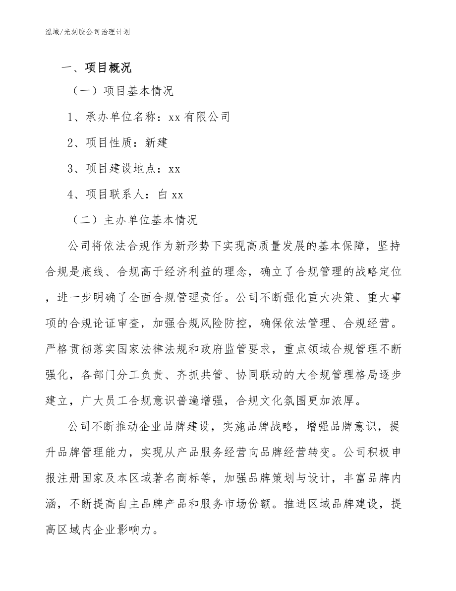 光刻胶公司治理计划_范文_第3页