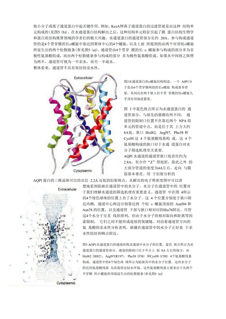 水分子通道蛋白的结构与功能的关系_第2页