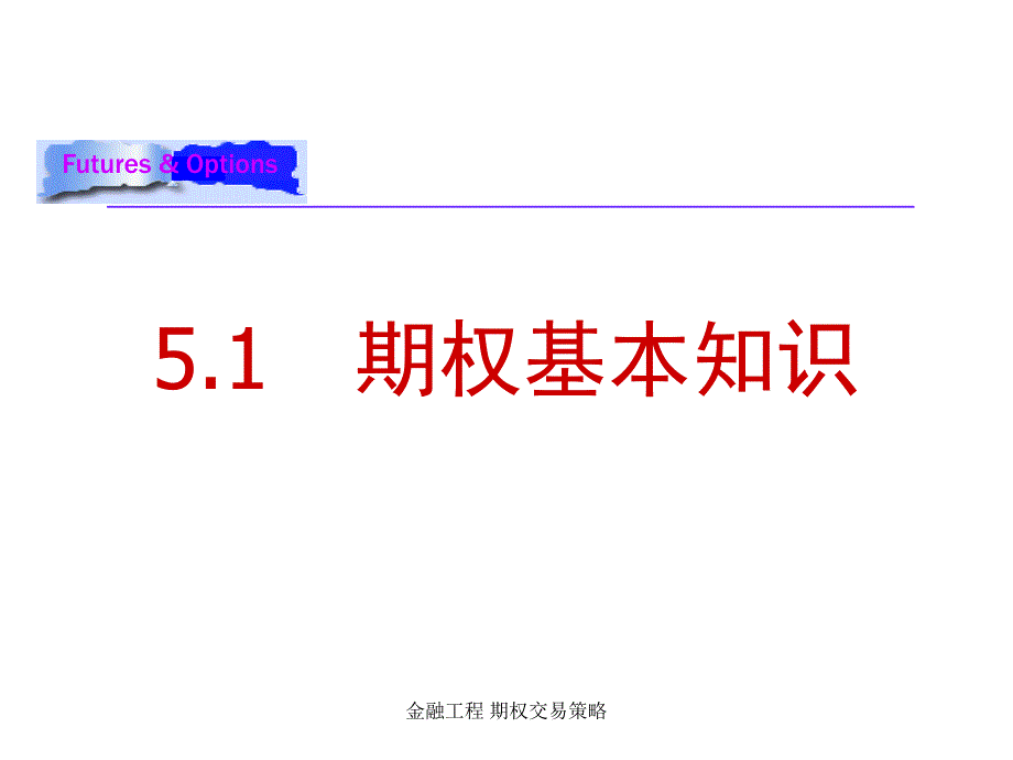 金融工程期权交易策略课件_第2页