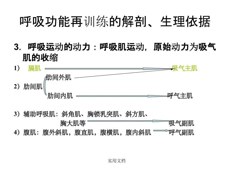 肺康复最新版本课件_第5页