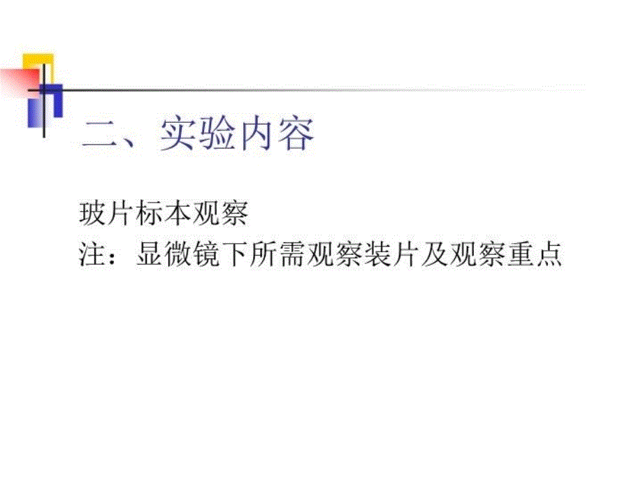 最新实验一上皮组织显微结构观察PPT课件_第3页