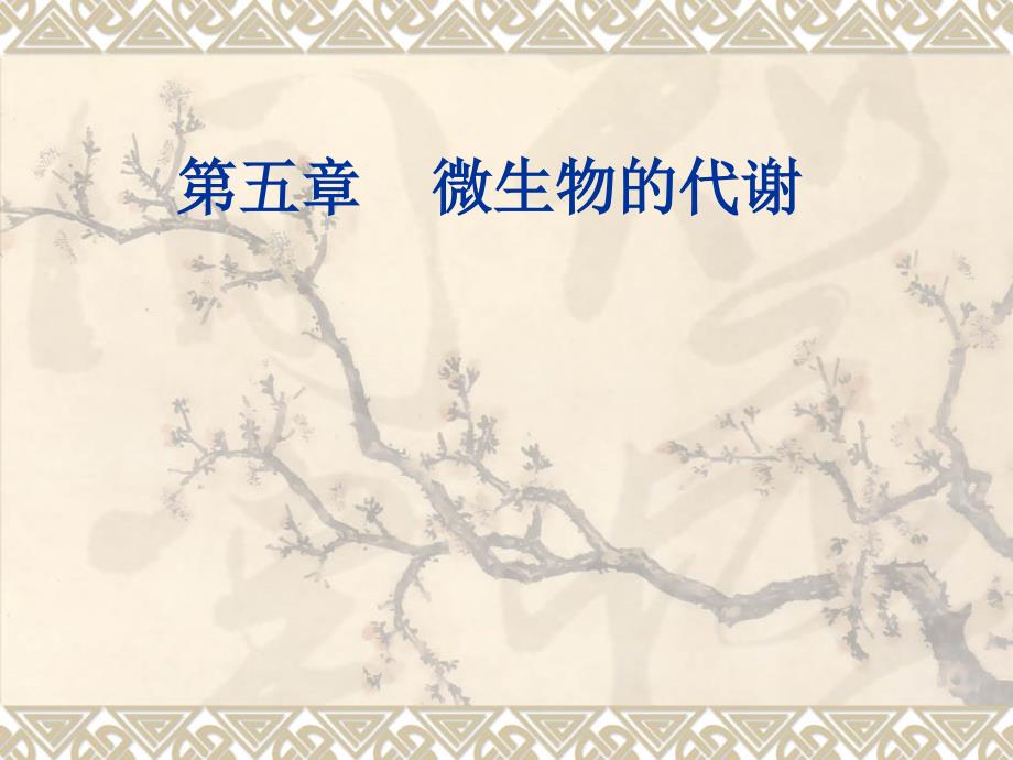 Chapter 5 微生物的代谢A_第1页