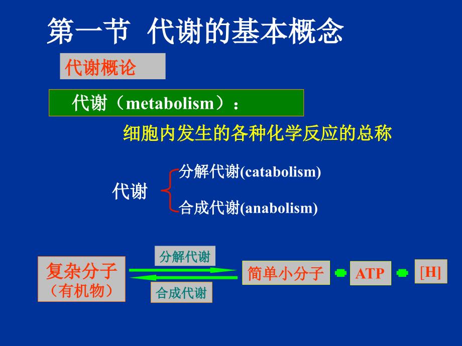 Chapter 5 微生物的代谢A_第2页