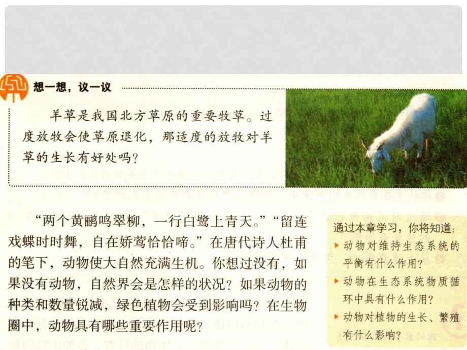 八年级生物上册 5.3 动物在生物圈中的作用教学课件 （新版）新人教版_第2页