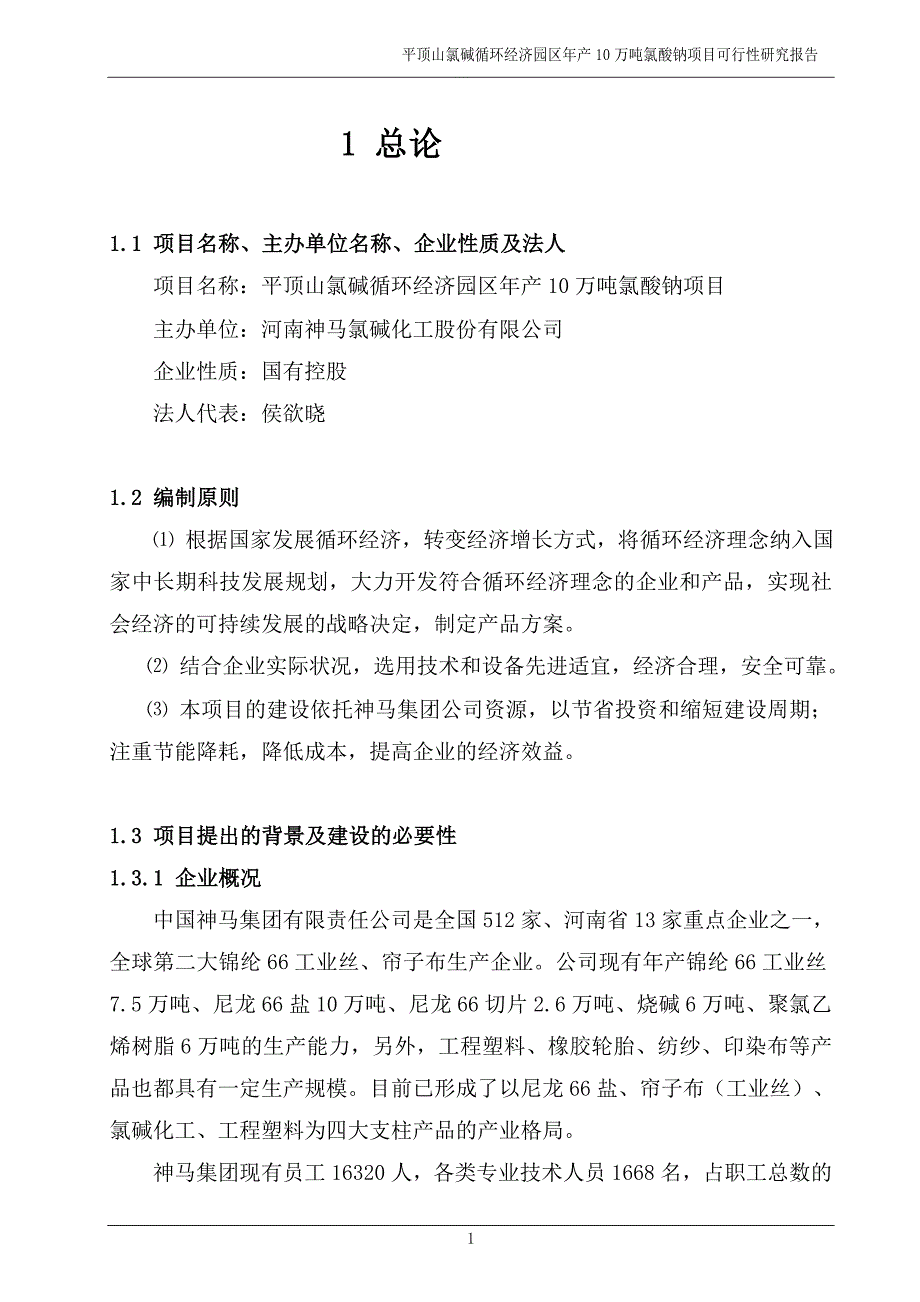 5万吨氯酸钠可研报告_第1页